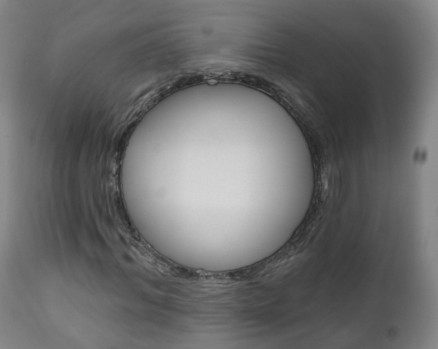 X0000110860964200906180941