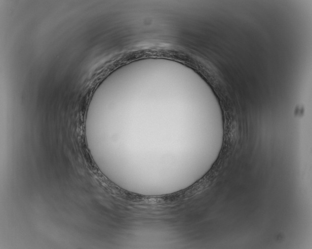 X0000110860966200906180941
