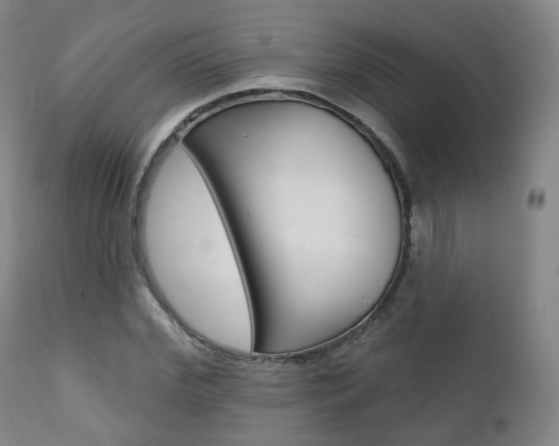 X0000110860972200906180941