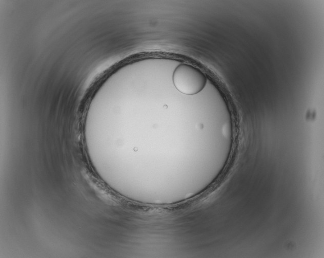 X0000110860974200906180941