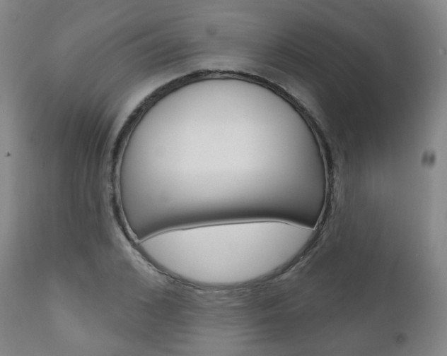 X0000110860976200906180941