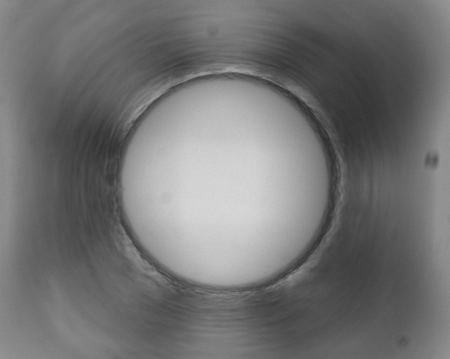 X0000110860977200906180941