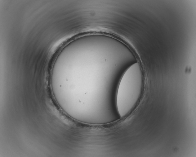 X0000110860979200906180941