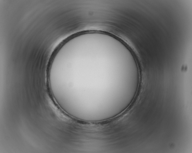 X0000110860980200906180941
