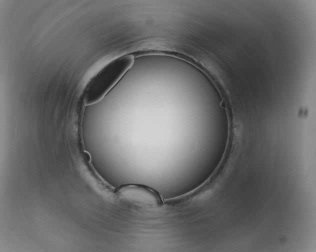 X0000110860981200906180941