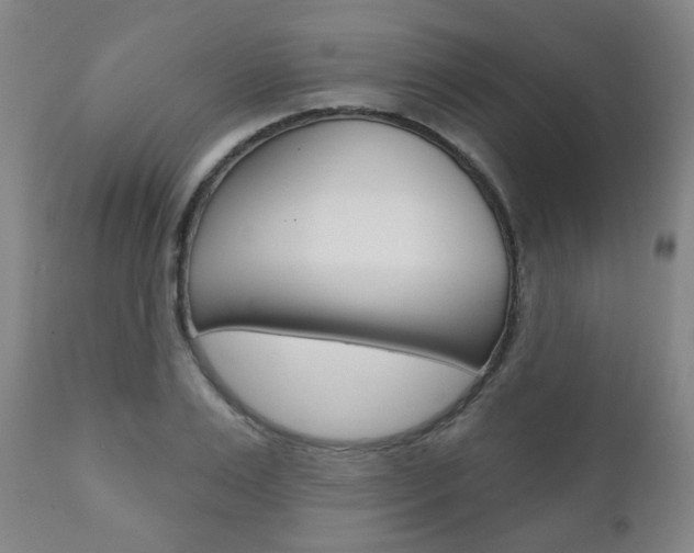 X0000110860983200906180941