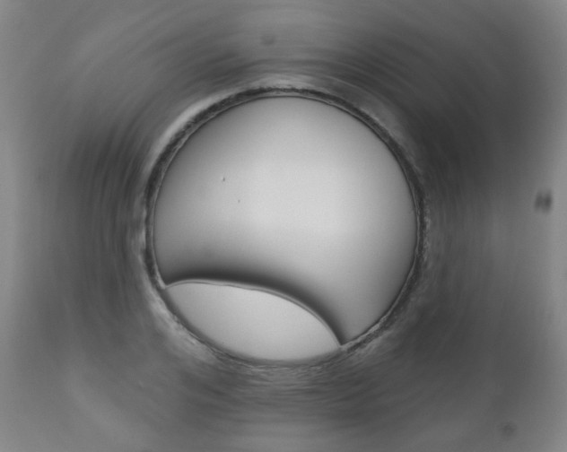X0000110860984200906180941