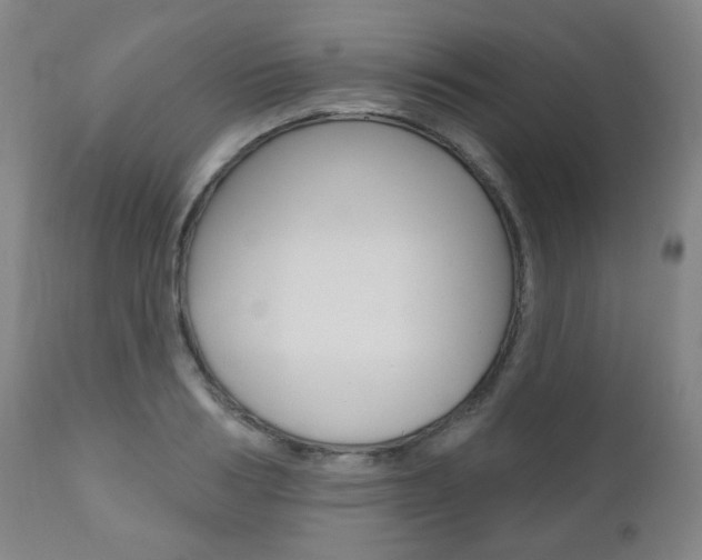 X0000110860986200906180941