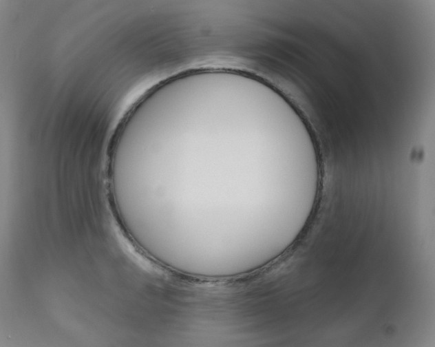 X0000110860990200906180941