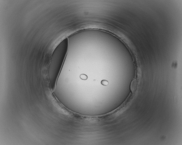 X0000110860993200906180941