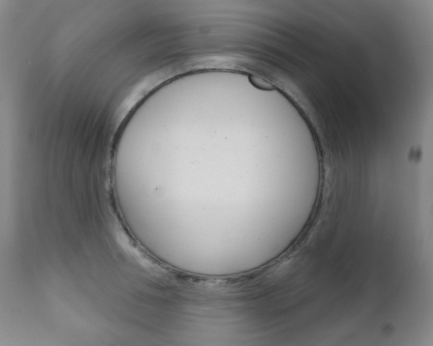 X0000110860994200906180941
