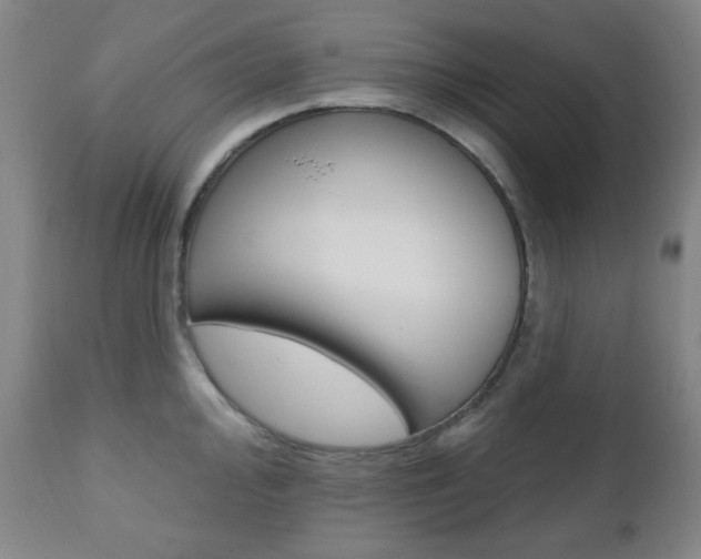 X0000110861000200906180941
