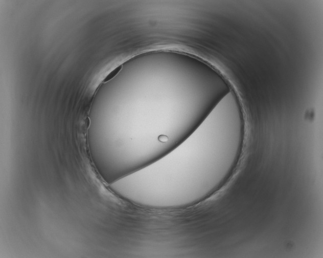 X0000110861001200906180941