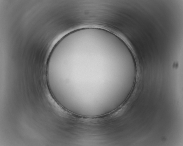 X0000110861004200906180941