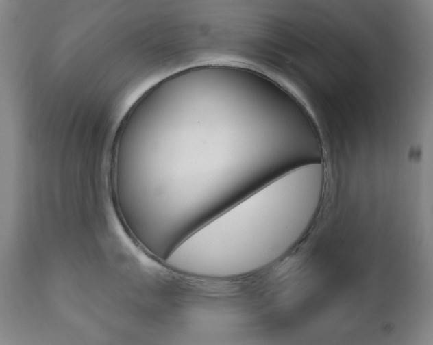 X0000110861007200906180941