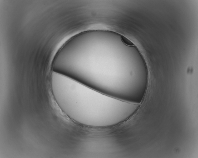 X0000110861008200906180941