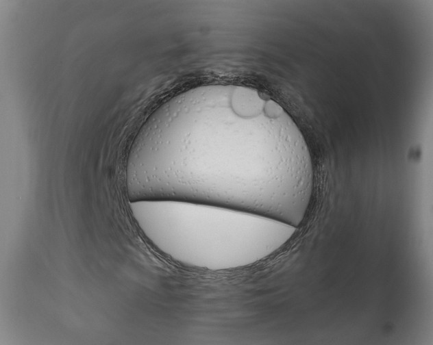 X0000110861009200906180940
