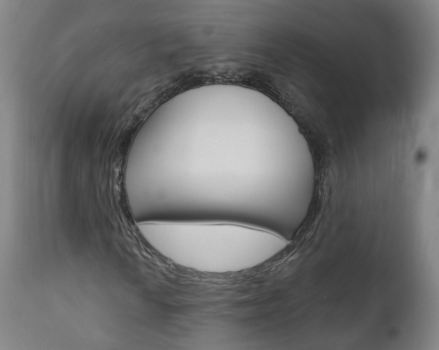 X0000110861010200906180940
