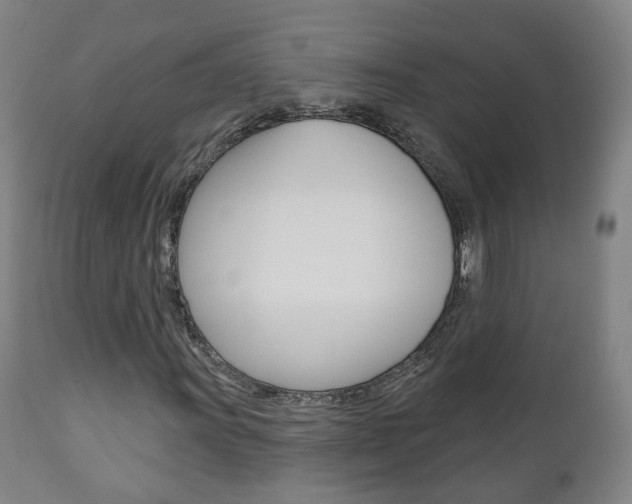X0000110861011200906180940