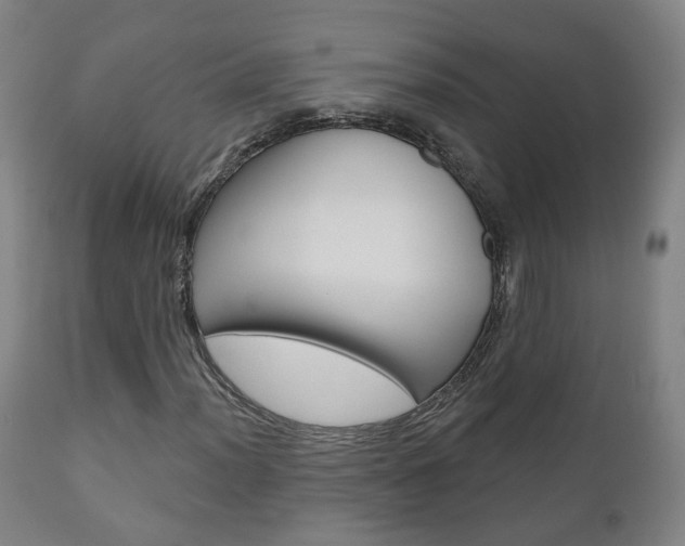 X0000110861012200906180940