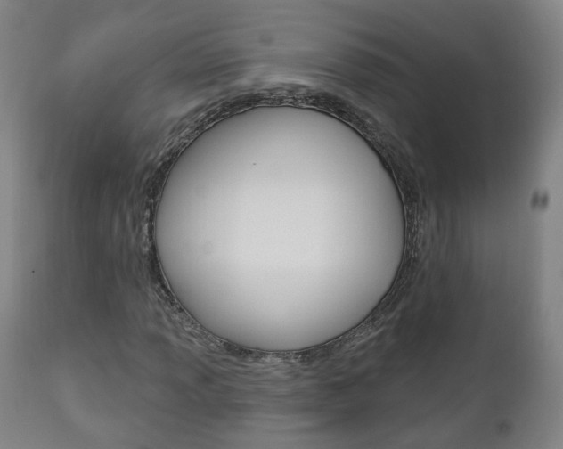 X0000110861013200906180940