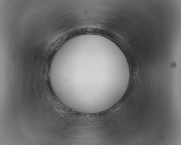 X0000110861014200906180940
