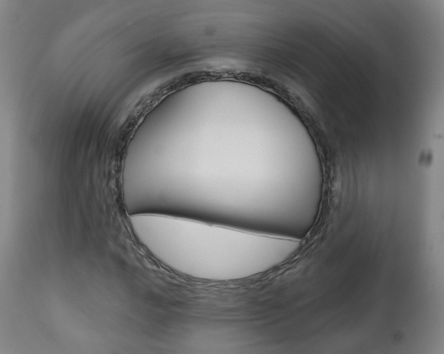 X0000110861016200906180940