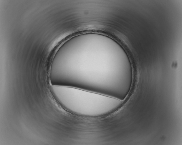 X0000110861018200906180940