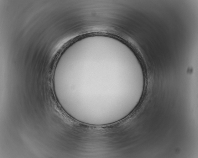 X0000110861019200906180940