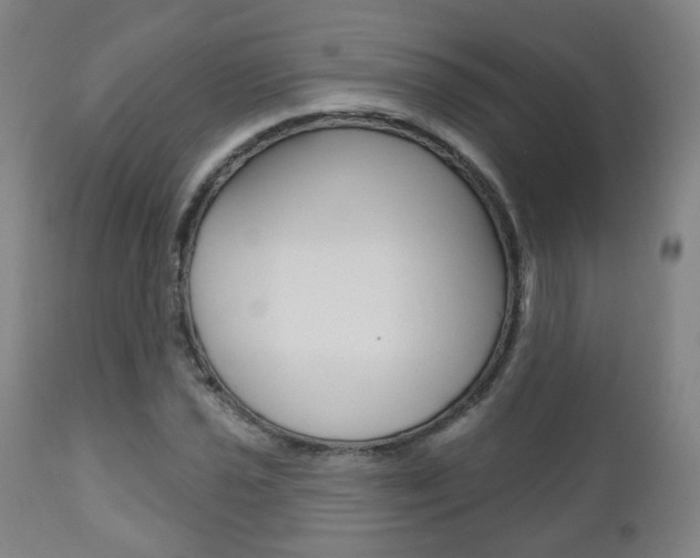 X0000110861021200906180940