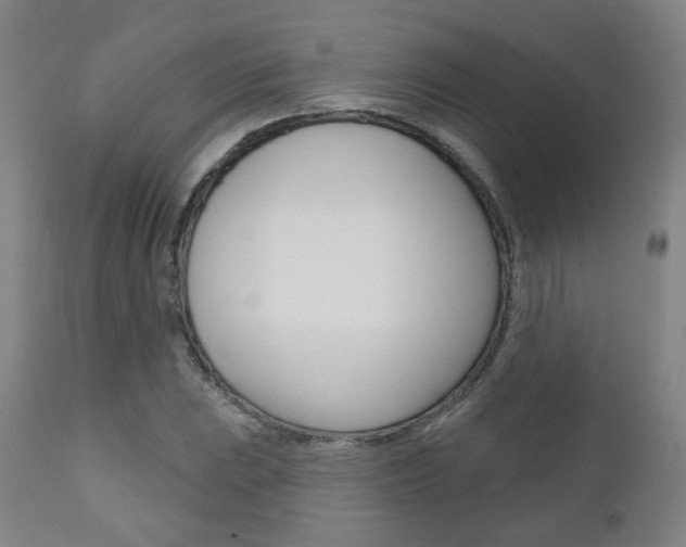 X0000110861023200906180940