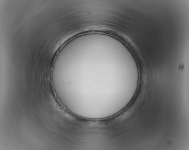 X0000110861025200906180940