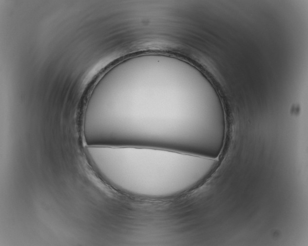 X0000110861026200906180940