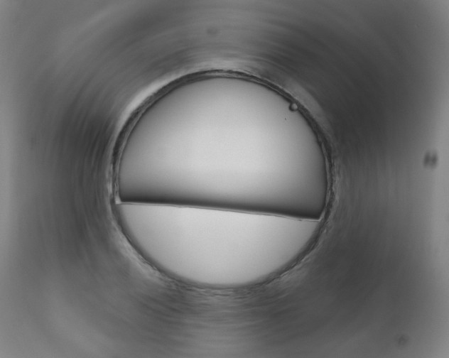 X0000110861028200906180940