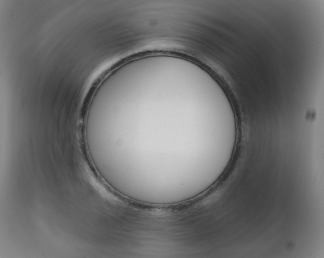 X0000110861029200906180940