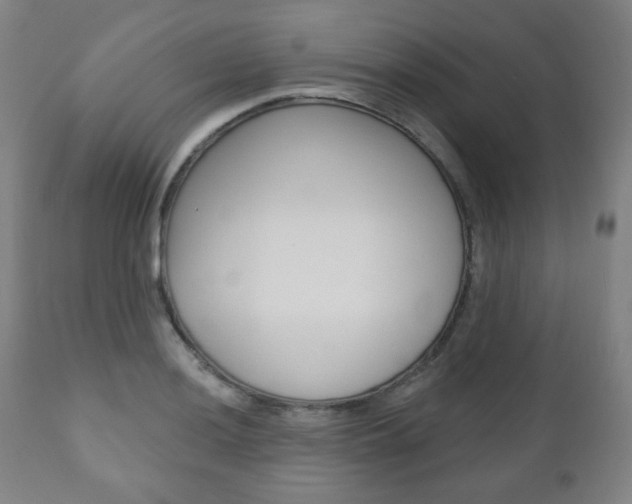 X0000110861036200906180941