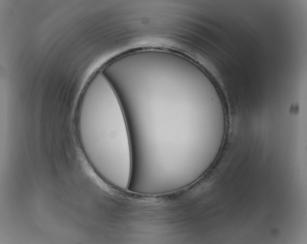 X0000110861037200906180941