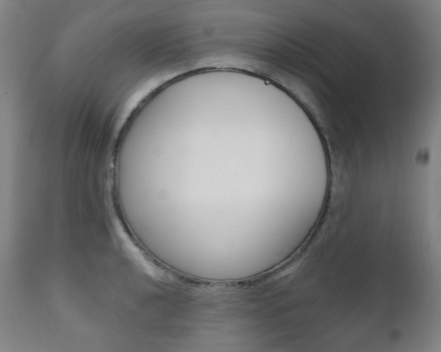 X0000110861040200906180941