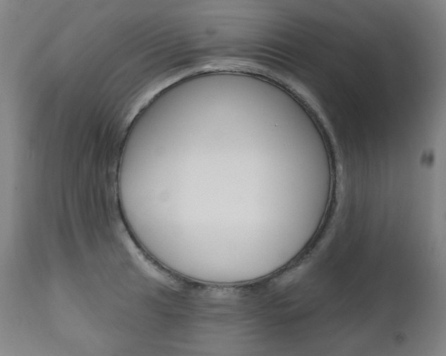 X0000110861041200906180941