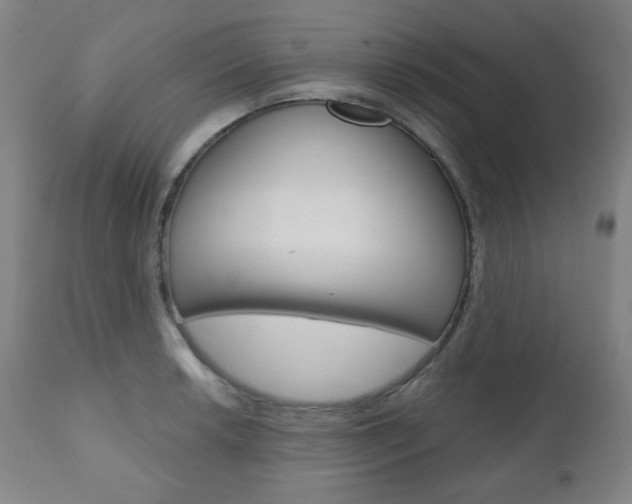 X0000110861042200906180941
