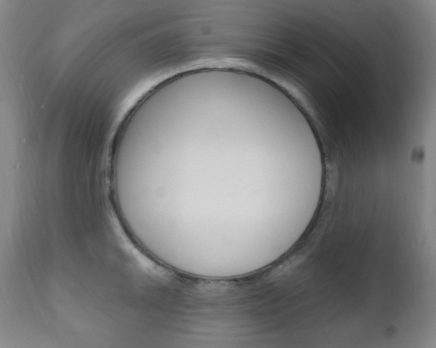 X0000110861046200906180941