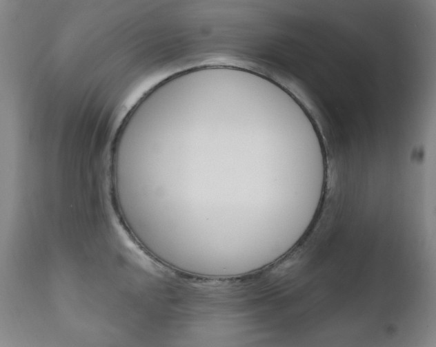 X0000110861048200906180941