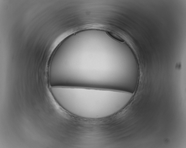 X0000110861050200906180941