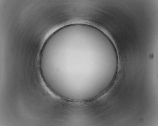X0000110861053200906180941
