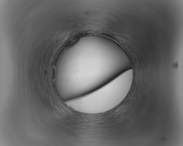 X0000110861057200906180940