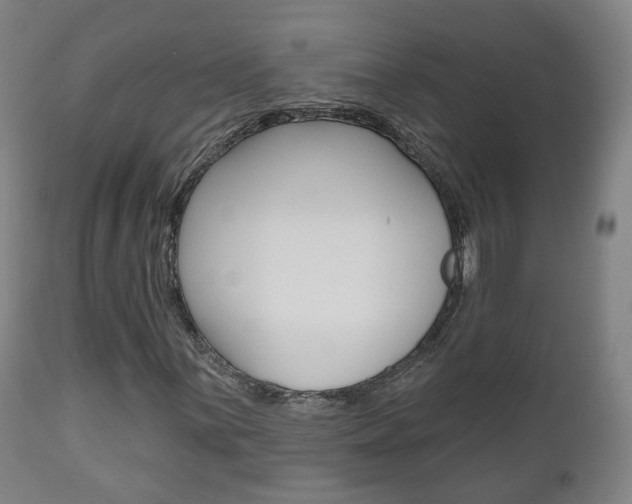 X0000110861059200906180940