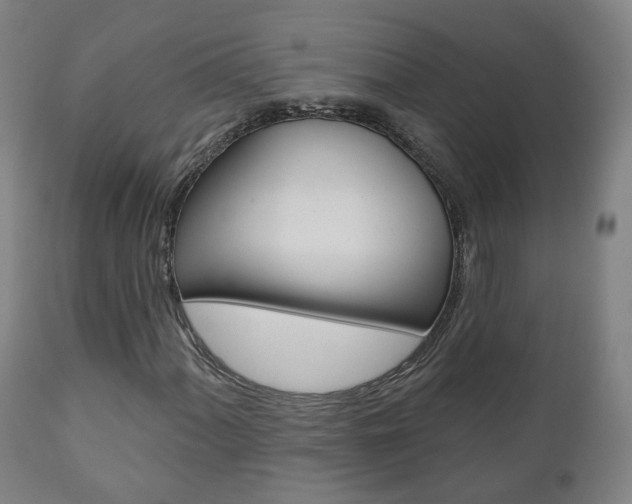 X0000110861060200906180940