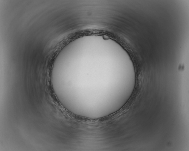 X0000110861062200906180940