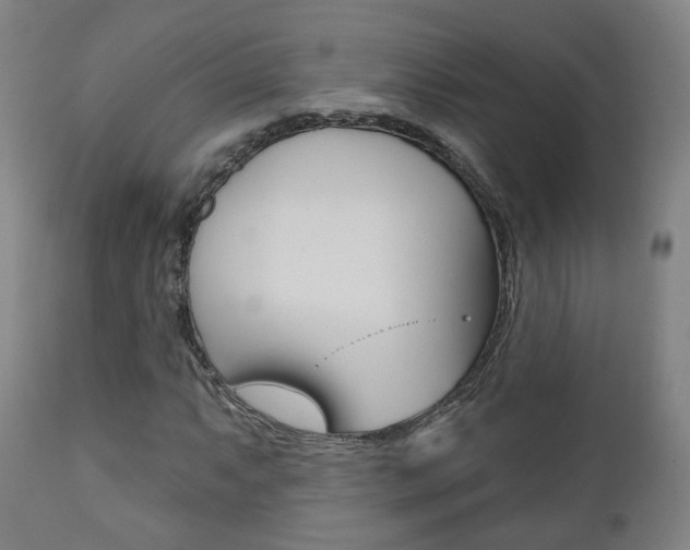 X0000110861063200906180940