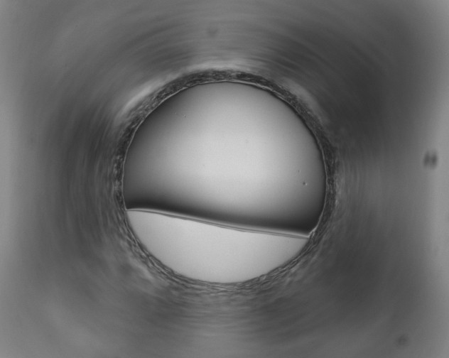 X0000110861064200906180940
